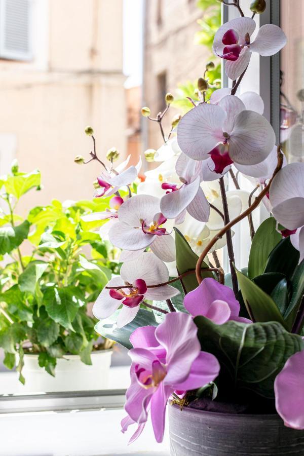 Hotel Le Flore เฟรฌูส ภายนอก รูปภาพ